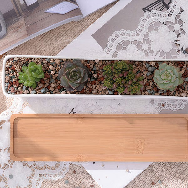 Succulent Planter-Long - Crazy Like a Daisy Boutique #