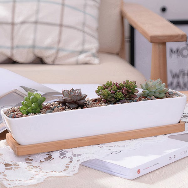 Succulent Planter-Long - Crazy Like a Daisy Boutique #