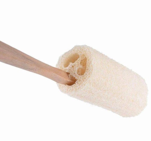 Natural Loofah Bath Brush / Exfoliating - Crazy Like a Daisy Boutique #