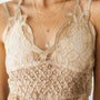 Live In Lace Bralette in Taupe