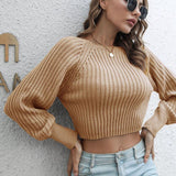 Cropped Round Neck Raglan Sleeve Ribbed Pullover Sweater - Crazy Like a Daisy Boutique #