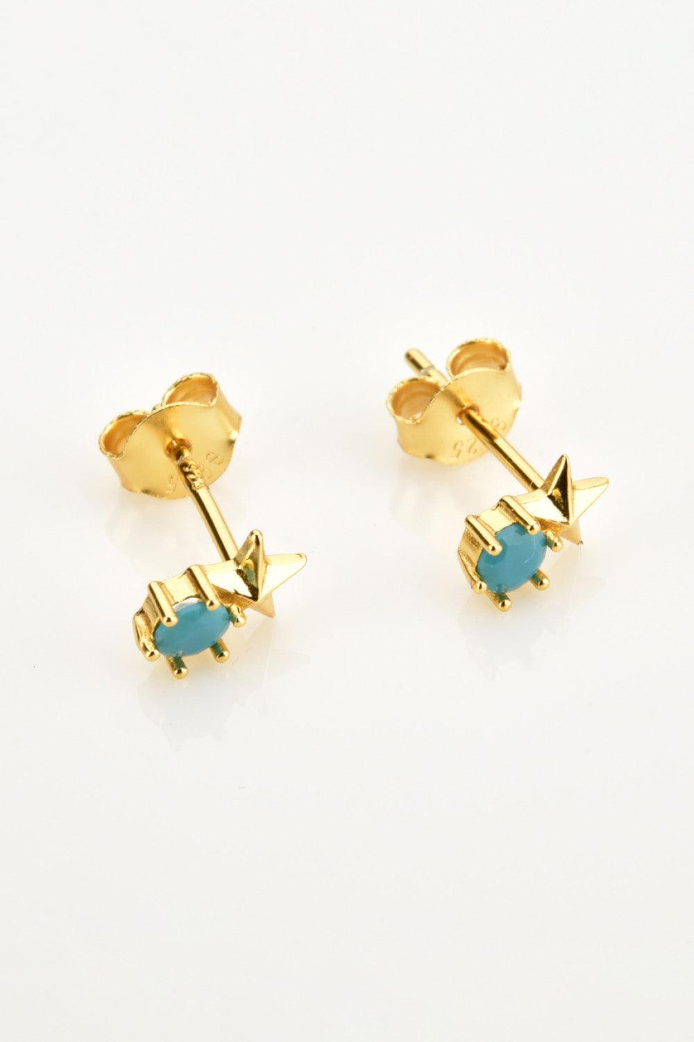 Zircon Star Stud Earrings - Crazy Like a Daisy Boutique #