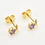 Zircon Star Stud Earrings - Crazy Like a Daisy Boutique